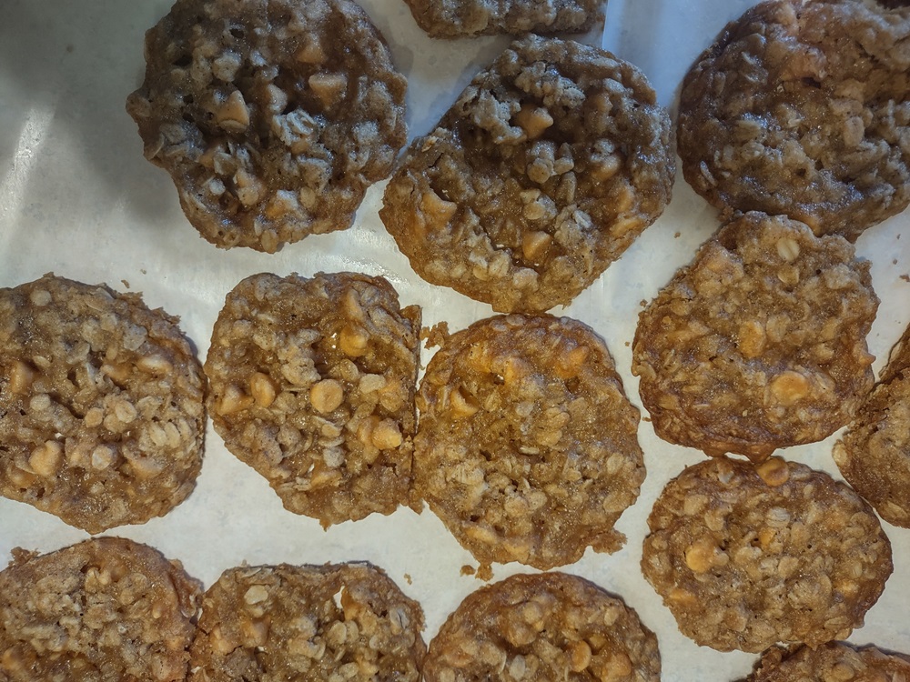 oatmeal_scotties_cookies